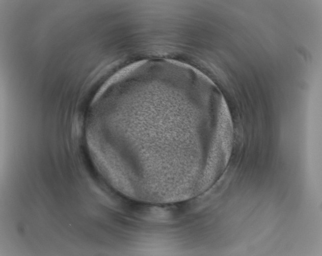 X0000113610166200910091549