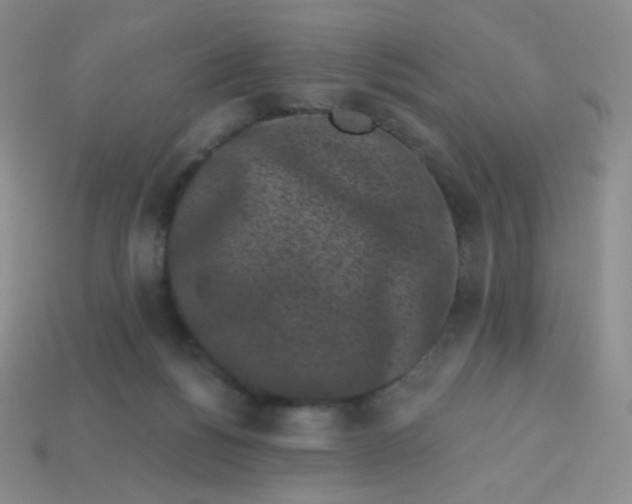 X0000113610168200910091549