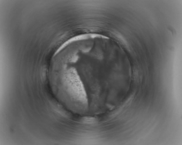 X0000113610169200910091549