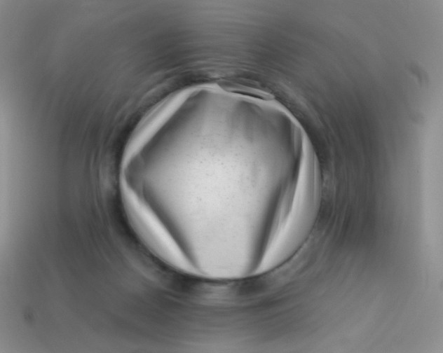 X0000113610170200910091549