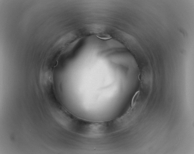 X0000113610172200910091549