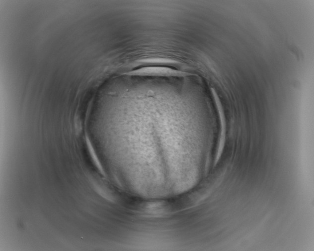 X0000113610173200910091549