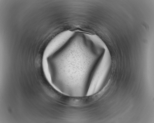 X0000113610174200910091549