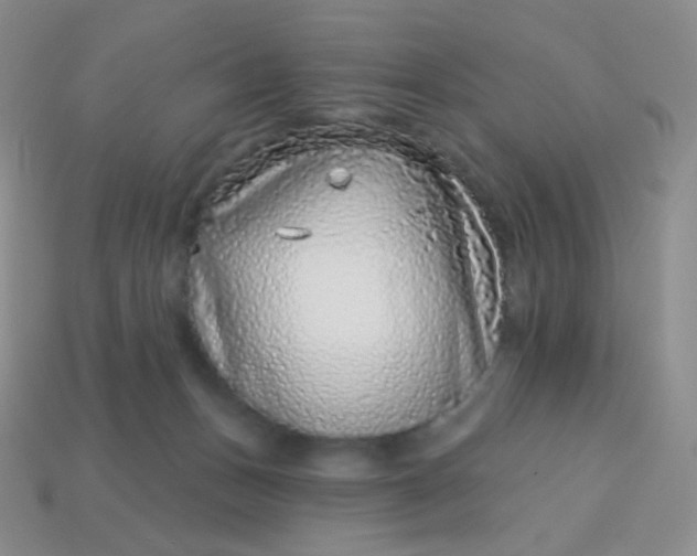 X0000113610175200910091549