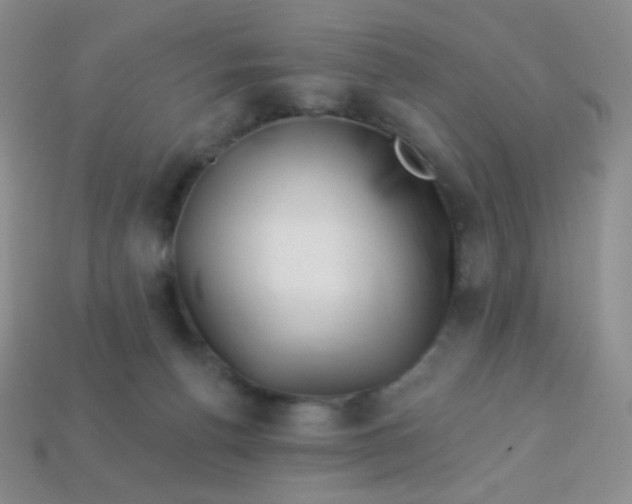 X0000113610176200910091549