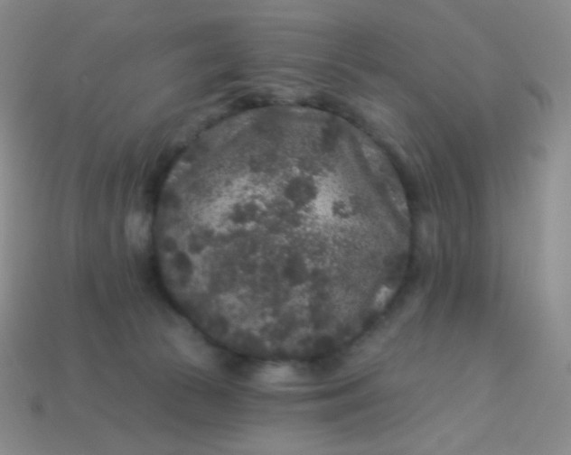 X0000113610177200910091549