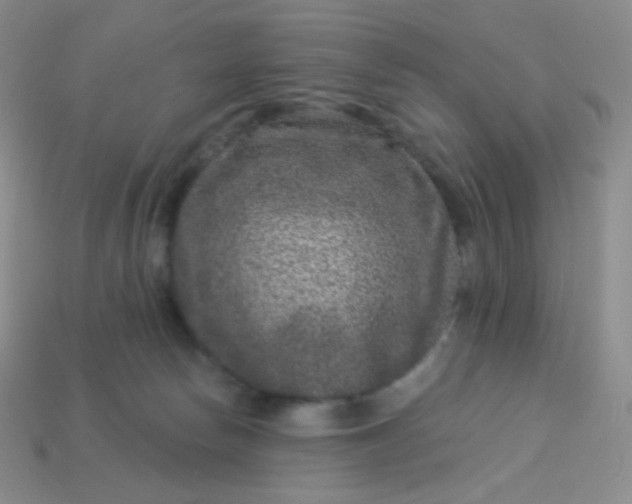 X0000113610178200910091549