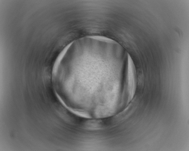 X0000113610179200910091549