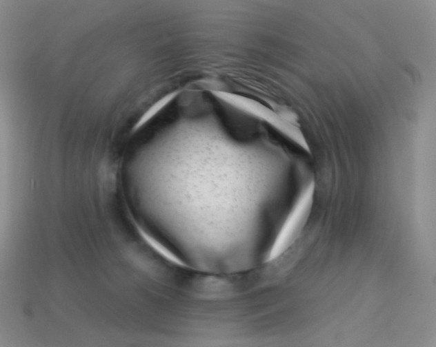 X0000113610180200910091549