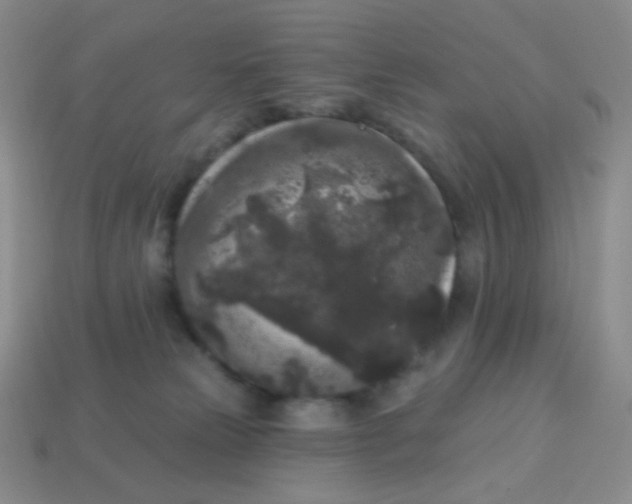 X0000113610181200910091549