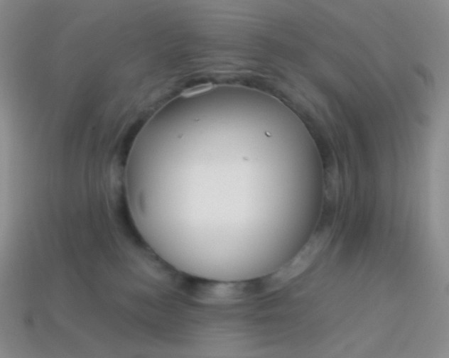 X0000113610184200910091549