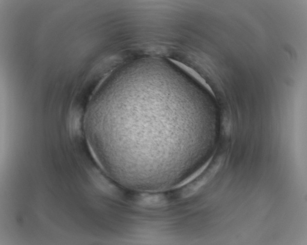 X0000113610185200910091549