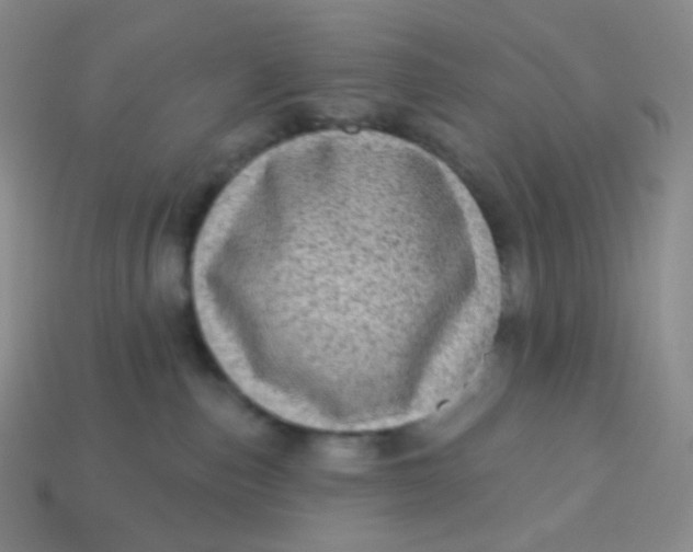 X0000113610187200910091549