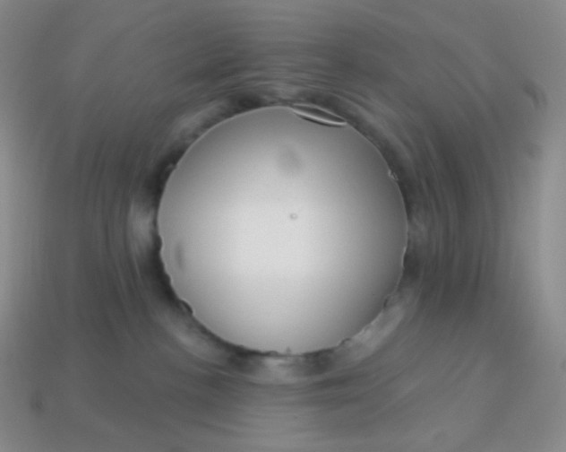 X0000113610188200910091549