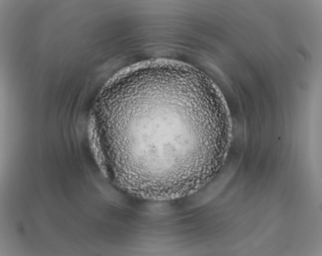 X0000113610189200910091549