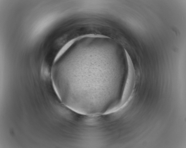 X0000113610191200910091549