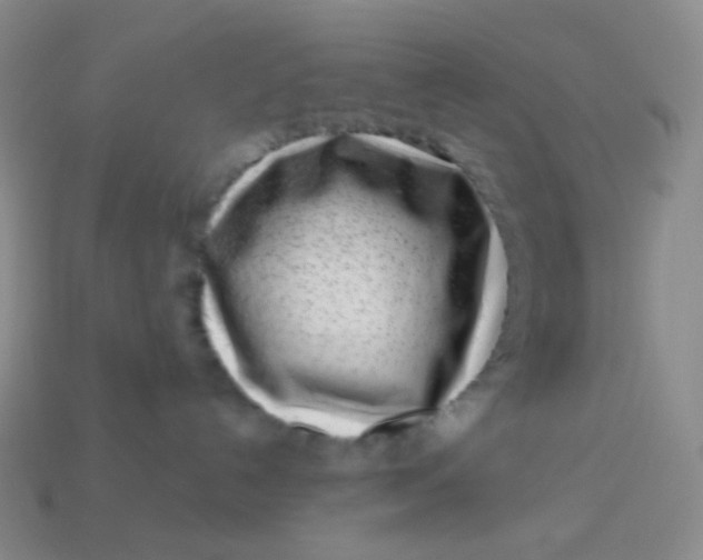 X0000113610192200910091549