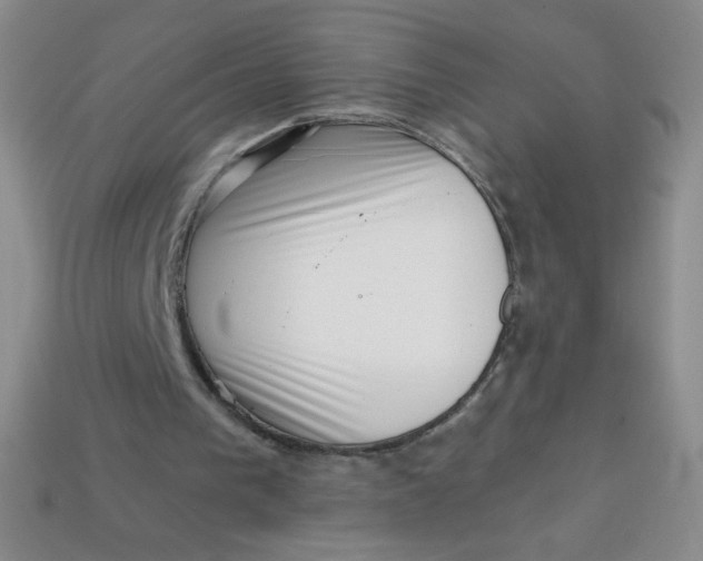 X0000113610193200910091548