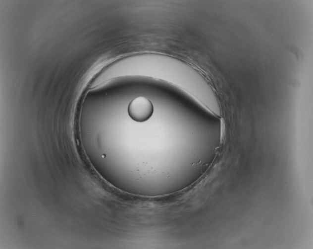 X0000113610195200910091548