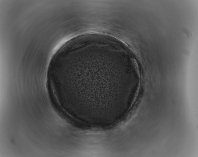 X0000113610196200910091548