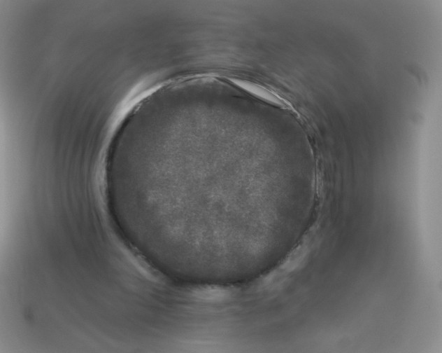 X0000113610198200910091548