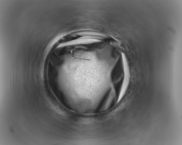 X0000113610200200910091548