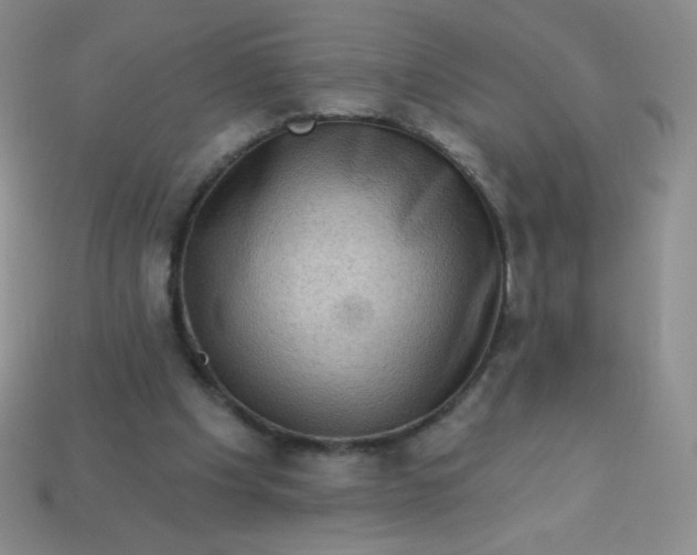 X0000113610201200910091548