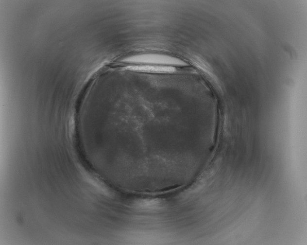 X0000113610202200910091548