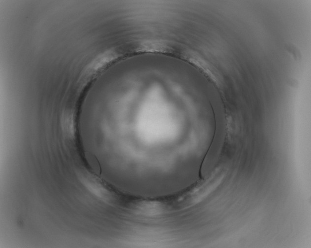 X0000113610203200910091548