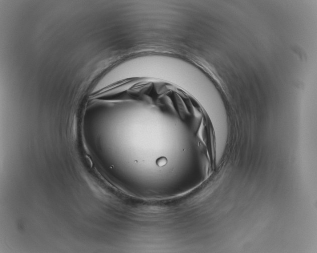 X0000113610205200910091548