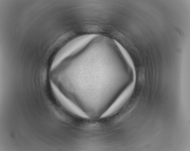 X0000113610206200910091548