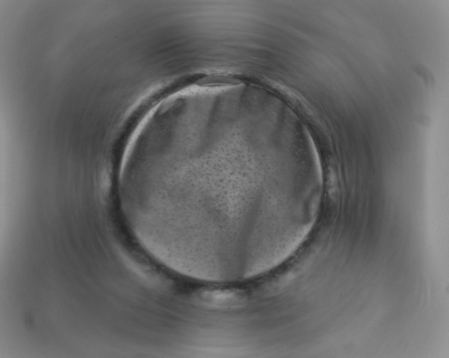 X0000113610208200910091548