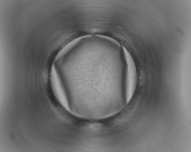 X0000113610210200910091548