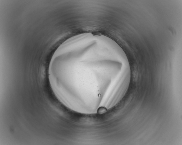 X0000113610211200910091548