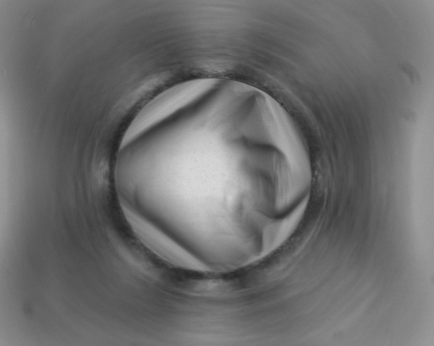 X0000113610212200910091548