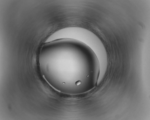 X0000113610213200910091548