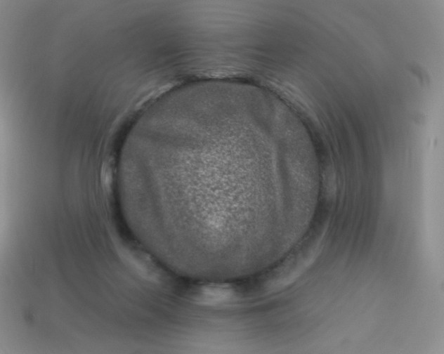 X0000113610214200910091548