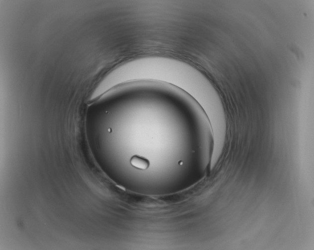 X0000113610215200910091548