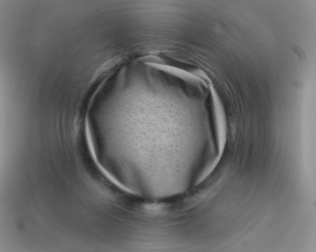 X0000113610216200910091548