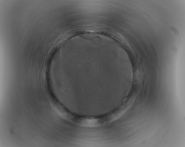 X0000113610217200910091548