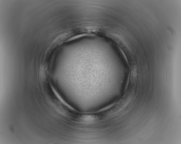 X0000113610218200910091548