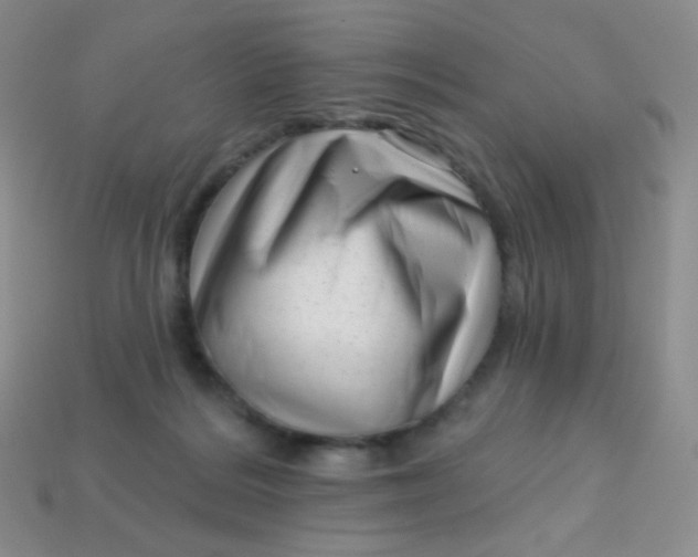 X0000113610220200910091548