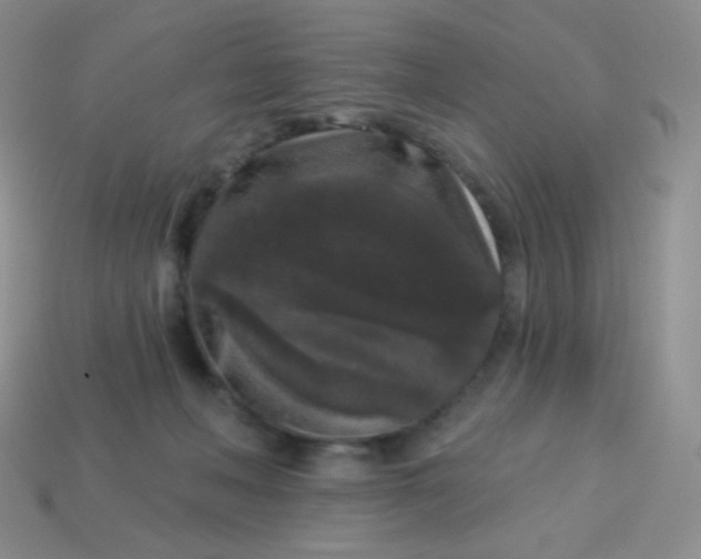 X0000113610222200910091548