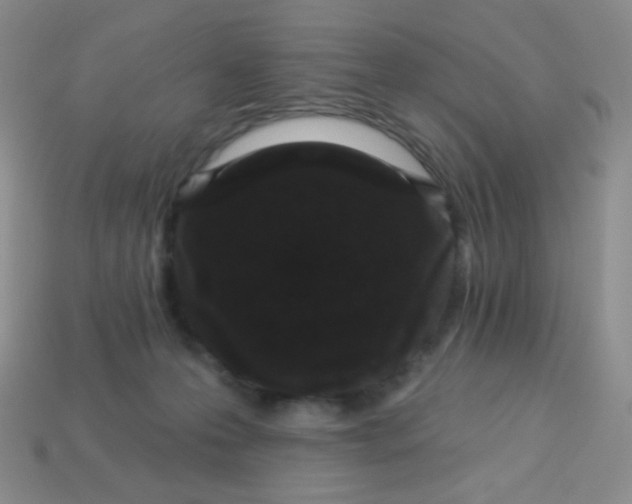 X0000113610223200910091548