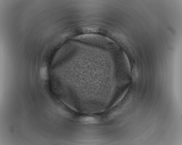 X0000113610224200910091548