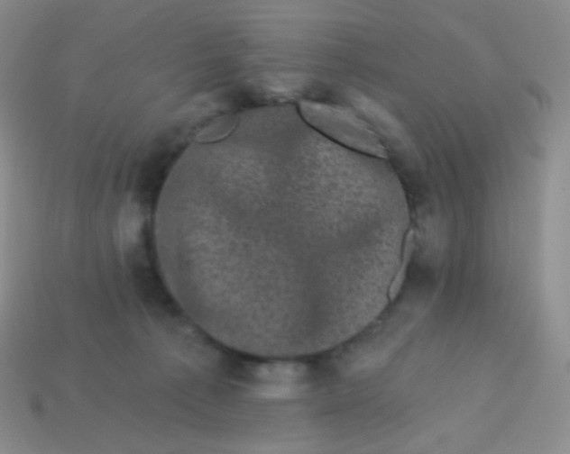 X0000113610225200910091548