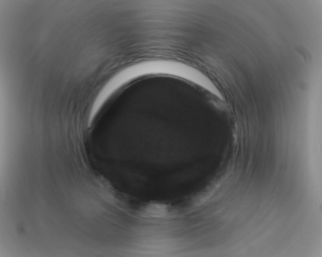 X0000113610227200910091548