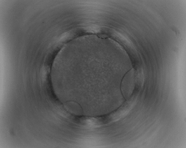 X0000113610229200910091548