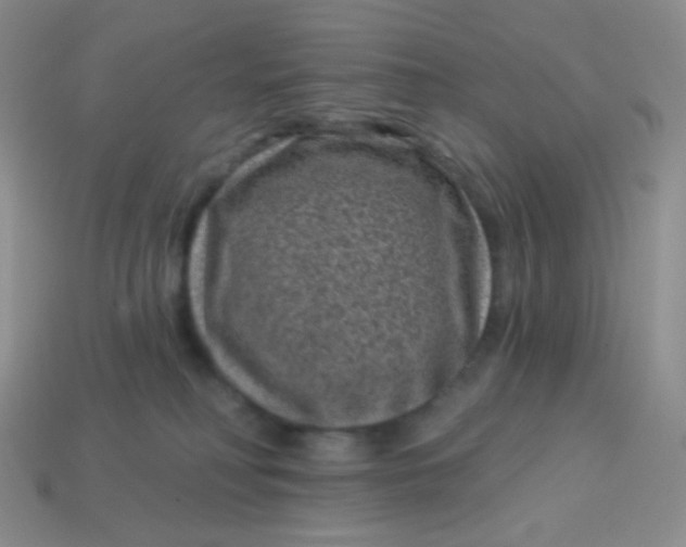 X0000113610230200910091548