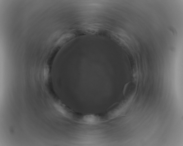 X0000113610231200910091548